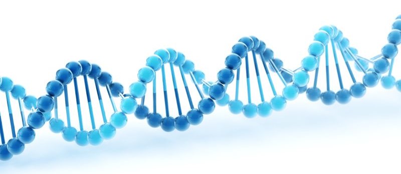 DNA1