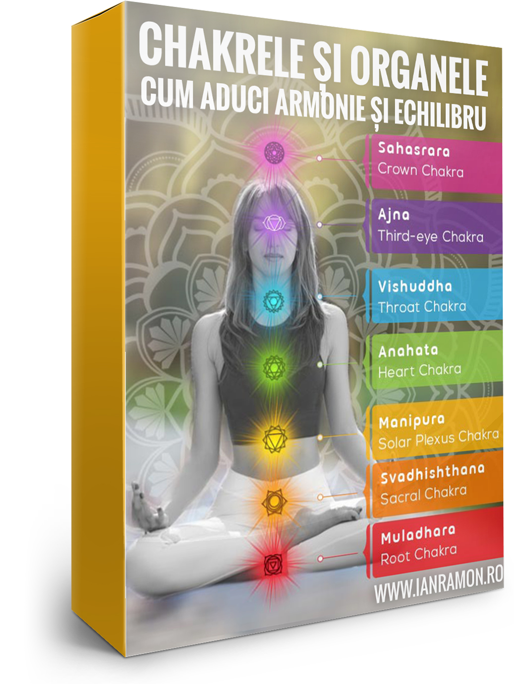 CHAKRELE ȘI ORGANELE – VINDECARE PROFUNDĂ PRIN ECHILIBRU ENERGETIC