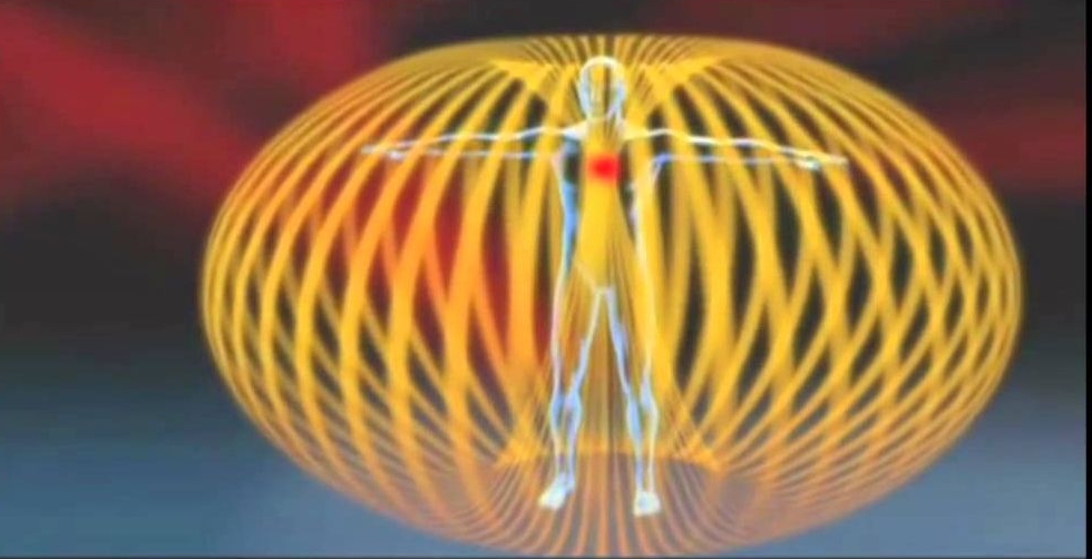 Torus science of the heart HM